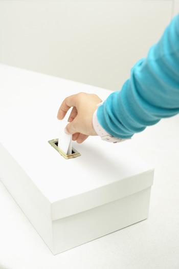voting.jpg voting.jpg